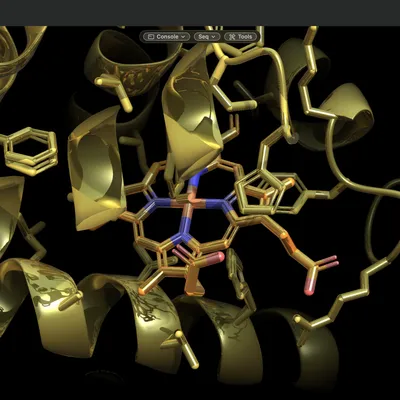 A myoglobin heme pocket rendered in gold in the RayMol window