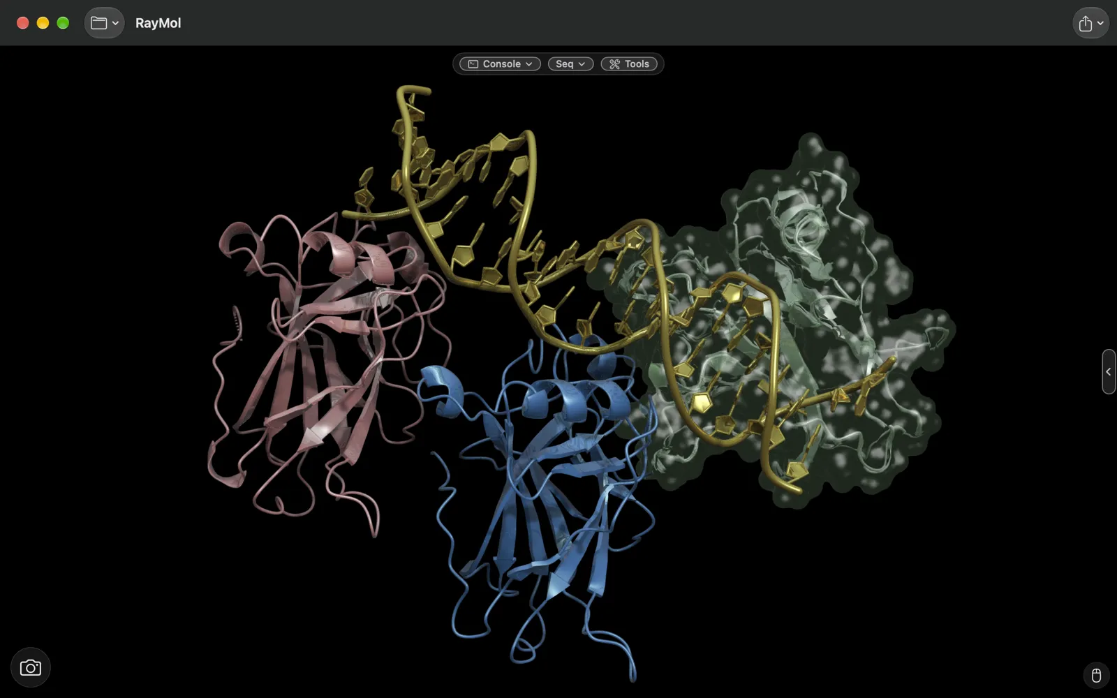 A p53–DNA complex with gold DNA, plastic and metallic cartoons and a frosted-glass surface