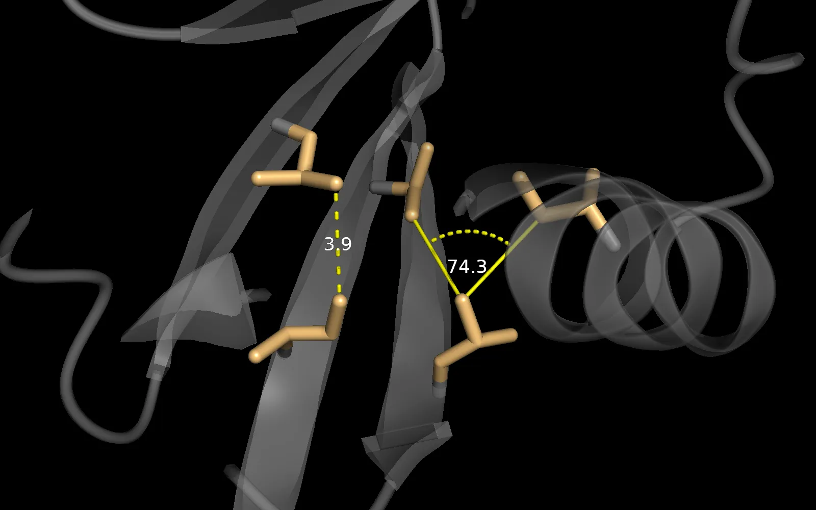 Close-up of the ubiquitin core: grey translucent cartoon with five hydrophobic side chains as orange sticks, a dashed yellow distance line labelled 3.9 and an angle marker labelled 74.3