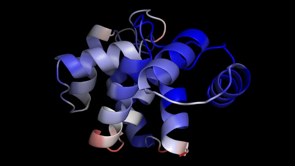 A predicted structure colored by per-residue pLDDT from blue to red